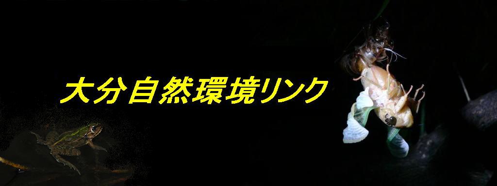 大分自然環境リンク